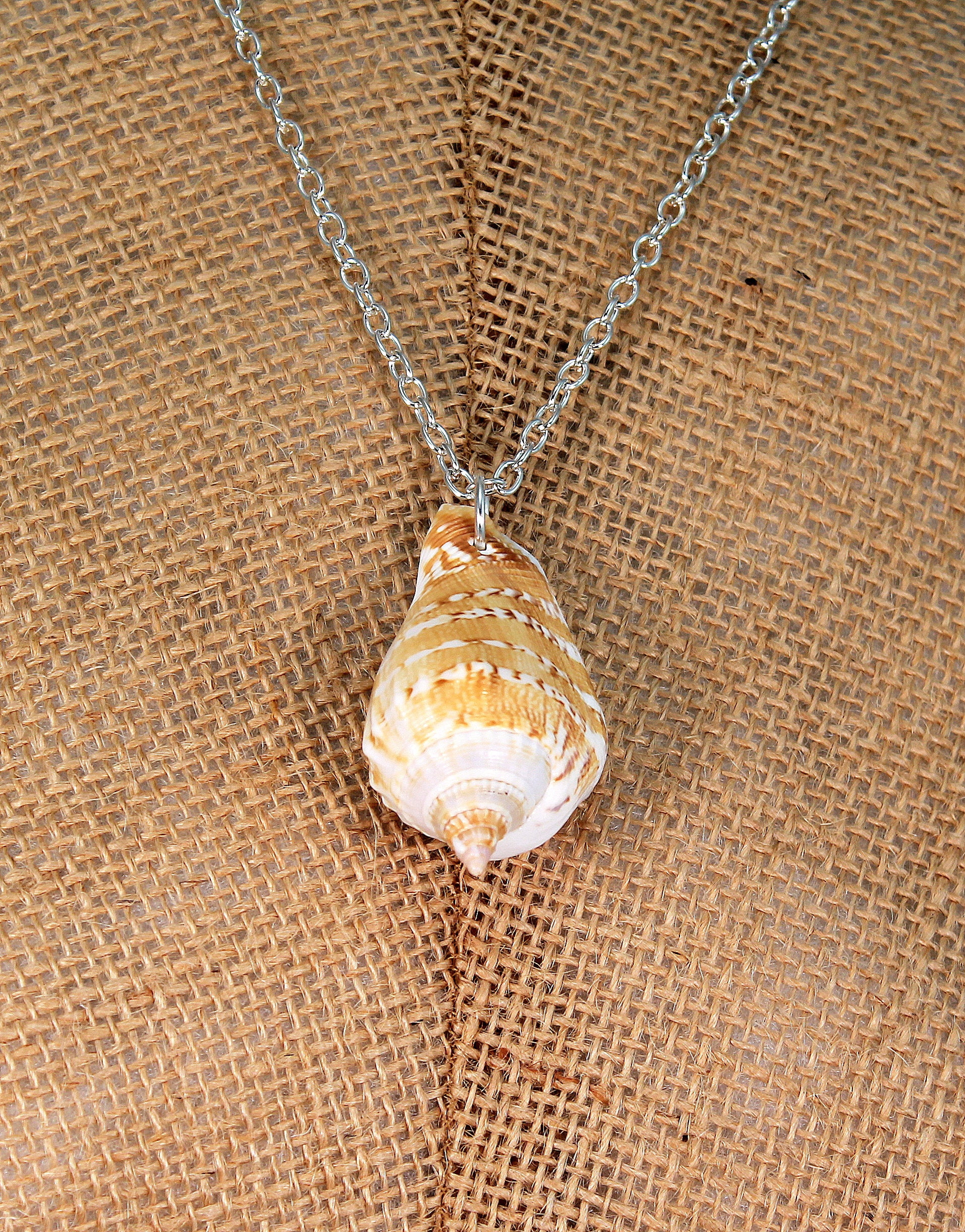 Beach Jewelry shell necklace real seashell women necklaces | Etsy