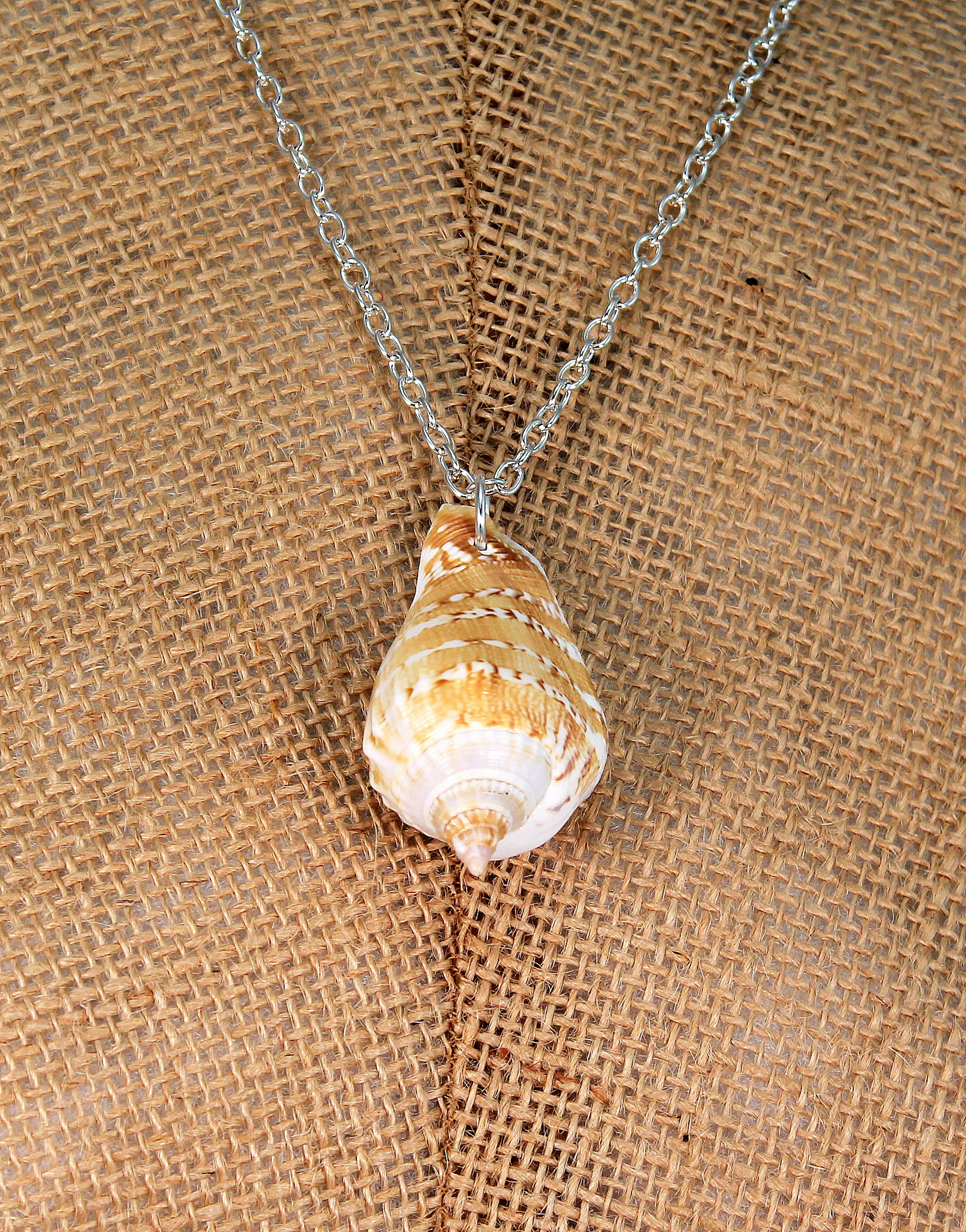 Beach Jewelry shell necklace real seashell women necklaces Etsy