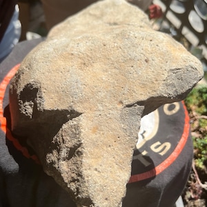 May include: A light brown, irregularly shaped rock with a rough, textured surface. The rock has a unique form, with a prominent, protruding section. The background includes a glimpse of a black garment and outdoor greenery.