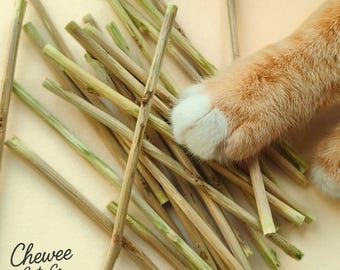 Hand-Peeled Silvervine Matatabi Sticks – Bark-Free for Safer Chewing | Chewee Cats Co.