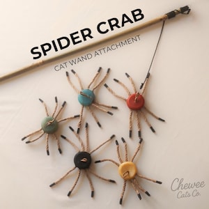Könnte beinhalten: Ein Katzenrutenaufsatz mit dem Text "SPIDER CRAB CAT WAND ATTACHMENT". Der Aufsatz verfügt über einen Holzstab mit einer schwarzen Schnur, die an einem spinnenartigen Spielzeug befestigt ist. Das Spielzeug hat eine hölzerne Knopfmitte und Seilbeine.