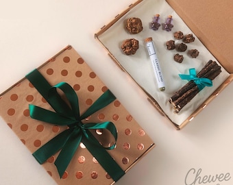 Caja de juguetes Curious Cat Box / Set de enriquecimiento con hierba gatera y vides plateadas para gatos / Caja de juguetes naturales