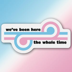 May include: A white sticker with the text "we've been here the whole time" in black. The design includes blue and pink stripes and swirls, set against a gradient background of pink and blue.