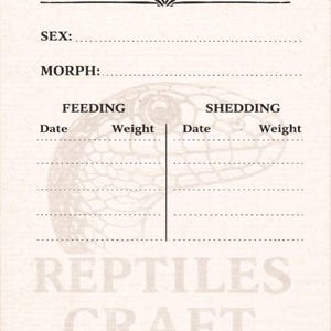 Könnte beinhalten: Eine weiße Keramiktasse mit schwarzem Henkel und dem Text "But First, Coffee" in schwarzer, fetter Schrift. Die Tasse steht auf einer Holzoberfläche. Die Tasse ist etwa 10 cm hoch.