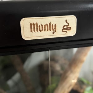 May include: A rectangular wooden sign with the name "Monty" in a gothic font and a snake illustration. The sign is light brown and mounted on a black surface, likely a terrarium or enclosure.