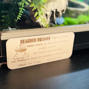 Personalised Laser Engraved Reptile Info Plaque –  Vivarium Display Sign | Educational Reptile Décor