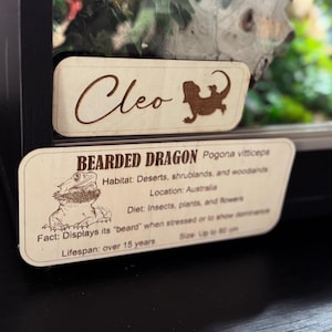 Custom Vivarium Plaque Set – Name Tag + Species Info Plate
