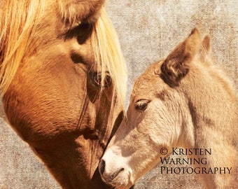 Textured Backgrounds, Horses, Equine Art, Fine Art, Photography, Mare Loves Her Foal, Foals