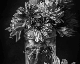 Floral Art in Black and White, Wall Art, Canvas, Florals, Flower Art