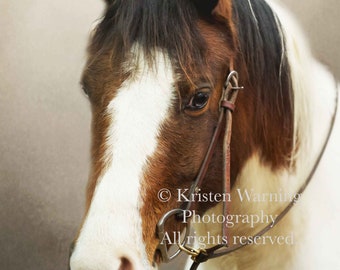 Horse Art, Equine Art, Western Art, Horse Portraits, Horse Photos, Equestrians, Pictures of Horses, Equine Photography