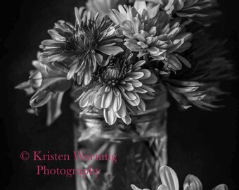Floral Art, Floral Print, Flower Photography, Black and White Mums in Fall