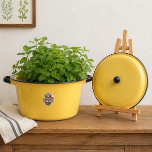 May include: A bright yellow enameled metal pot with black rimmed handles and a matching yellow lid resting on a wooden easel. The pot contains a lush green plant and features a small rectangular label with the text REPUBLIC printed on the front.