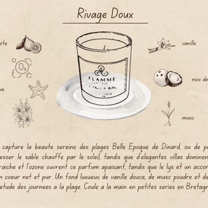 Coastal Coconut Soy Candle – Ocean Breeze Bergamot Vanilla – Beach House Home Fragrance – Hand Poured (230g) image 2