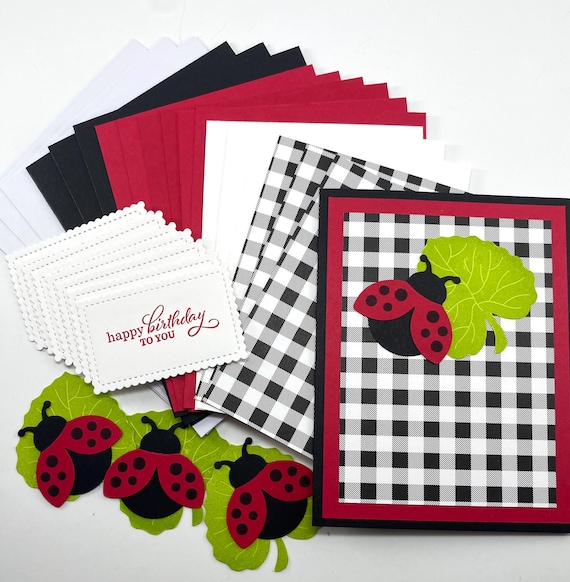 Ladybug Card Making Kit – Paper Craft Supplies – Handmade Greeting Cards