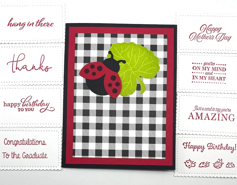 Pode incluir: Um cart&atilde;o de felicita&ccedil;&otilde;es com um fundo xadrez em preto e branco, uma borda vermelha e um desenho de joaninha e folha. O texto no cart&atilde;o diz "Happy Birthday to You". Cart&otilde;es adicionais com texto como "hang in there" e "Happy Mother's Day" tamb&eacute;m s&atilde;o vis&iacute;veis.