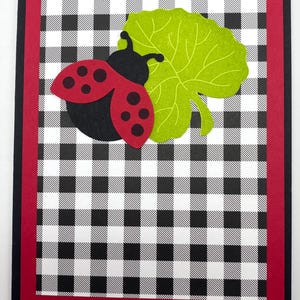 Pode incluir: Cart&atilde;o de felicita&ccedil;&otilde;es feito &agrave; m&atilde;o com uma joaninha vermelha e preta, pontos pretos e uma folha verde. O fundo &eacute; um padr&atilde;o xadrez preto e branco, com bordas vermelhas e pretas.