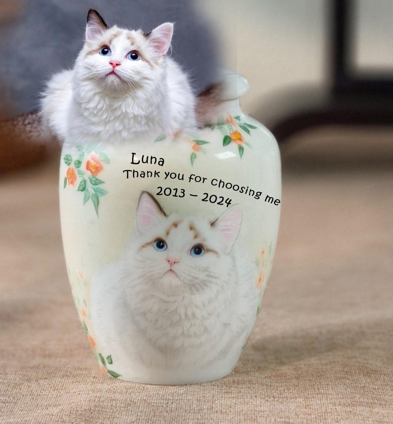 May include: A ceramic vase with a painted portrait of a cat, with a live cat perched on top. The vase is decorated with floral patterns and the text "Luna Thank you for choosing me 2013 - 2024". The cat has blue eyes and white fur.