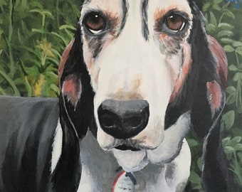 A Fine Art Portrait of Your Pet