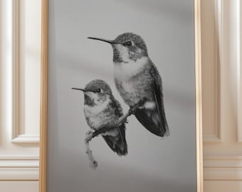 Kolibry na gałęzi – Fine Line Nature – drukowana grafika ścienna (do pobrania w wersji cyfrowej)