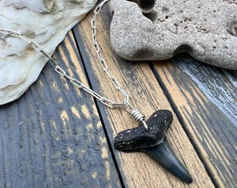 Shark Tooth Necklace- Sterling Silver