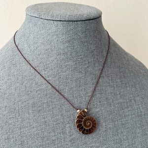 Ammonite Necklace #2