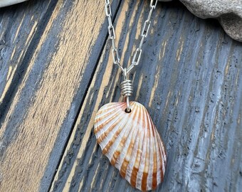 Tiny Treasure Sea SHELL NECKLACE