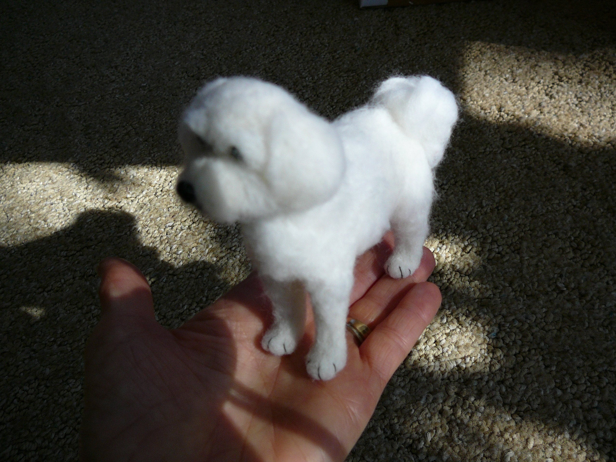 Maltese frise on sale