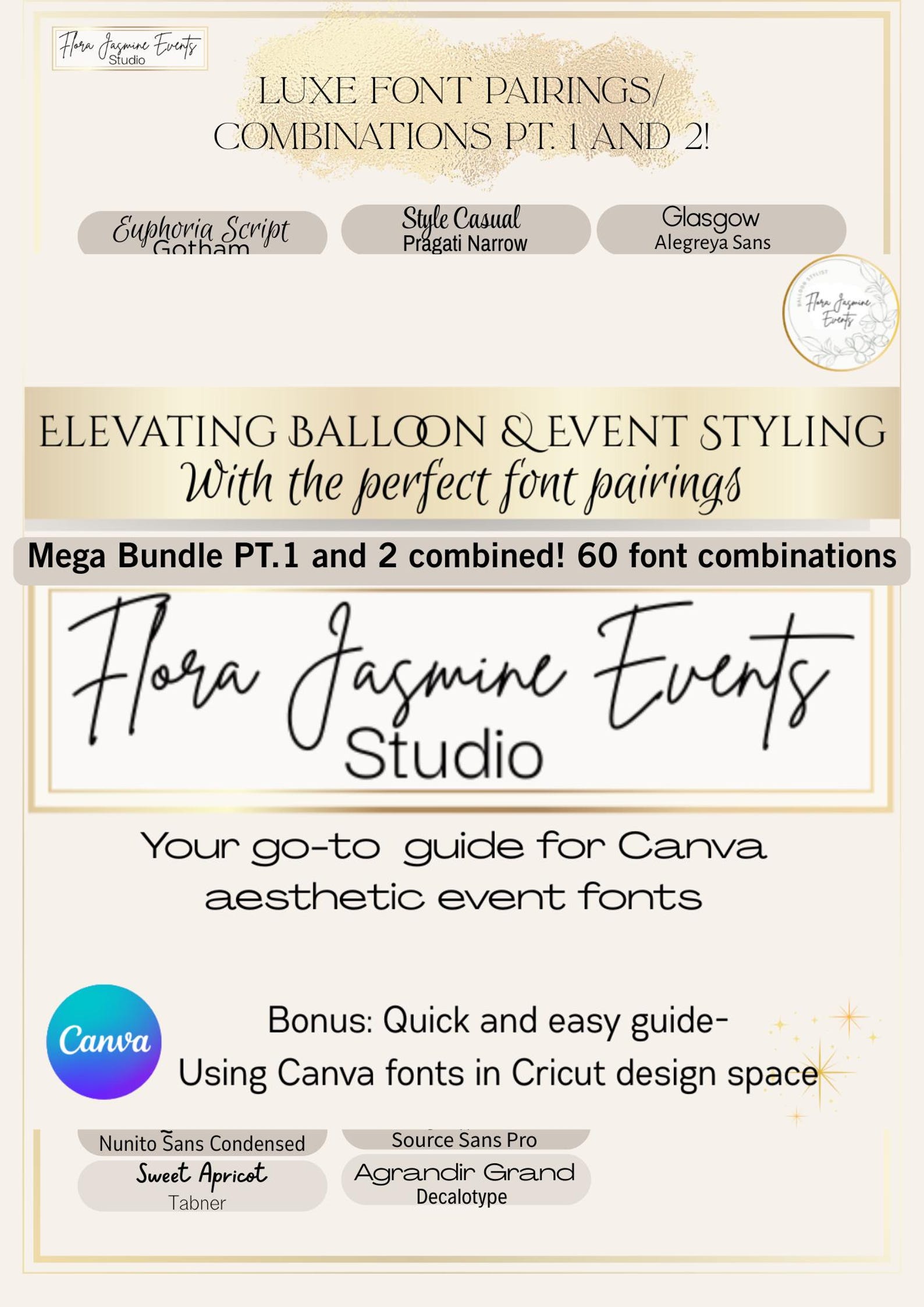 MEGA BUNDLE 1 and 2 COMBINED Luxury Canva Pro Font Pairings / 60 ...