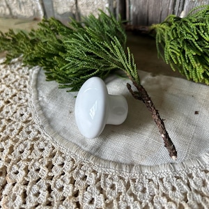May include: A white ceramic cabinet knob with an oval shape. The knob is set against green foliage and a cream-coloured crocheted doily. The background features weathered wooden planks.
