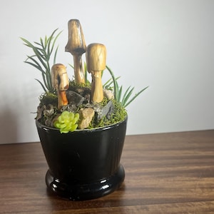 May include: A black ceramic pot with a miniature mushroom garden. The garden features several wooden mushrooms, green plants, small rocks, and a succulent. The pot sits on a wooden surface.
