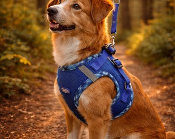 No Pull Dog Harness Adjustable – Easy Control Pet Harness for Small & Medium Dogs, Comfortable Walking Vest XS-XL