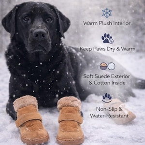 May include: A black Labrador Retriever wearing tan winter dog boots. The boots have a soft suede exterior and a warm plush interior. Text on the image reads "Winter Dog Boots" and "Perfect for Snow, Ice, and Cold Weather."