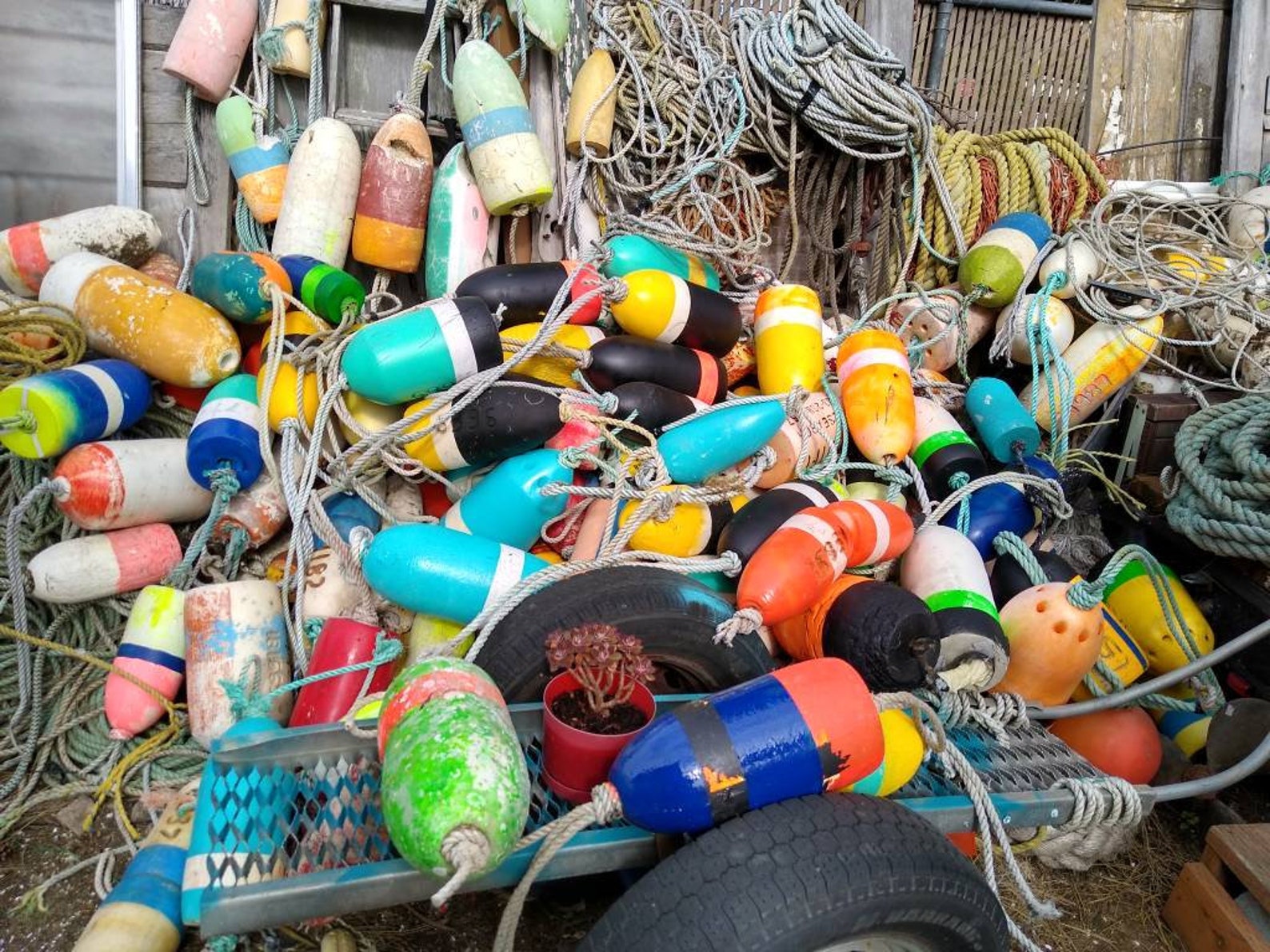 5 CRAB POT FLOATS. You will get 5 locally Random Etsy