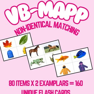 May include: Pink educational flash cards with the text "VB-MAPP NON-IDENTICAL MATCHING". The cards feature images of a maple leaf, backpack, horse, frog, goldfish, and jacket. The text reads "80 ITEMS X 2 EXAMPLARS = 160 UNIQUE FLASH CARDS".