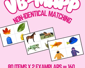 VB-MAPP Non-Identical Matching Cards | 80 Items x 2 Exemplars | ABA, Autism, Speech Therapy, Special Ed | Printable pdf