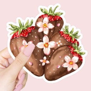 Chocolate Strawberries Sticker | Waterproof Vinyl Sticker | High Quality Stickers | Journal Sticker | Cup Sticker | Laptop Decal | Kindle