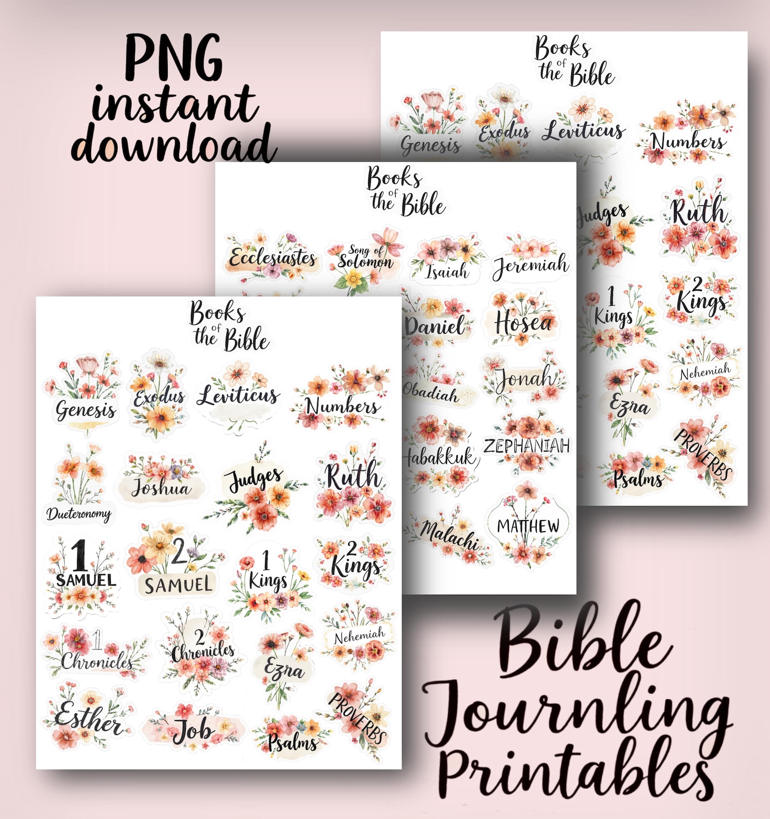 Books of the Bible Journaling Instant Download Printables 66 Books - Etsy