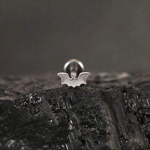 May include: A silver bat-shaped stud earring. The earring has a detailed bat design with outstretched wings. The earring is set against a dark, textured background, highlighting its metallic sheen. A small piece of jewellery.