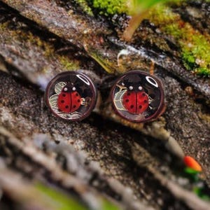 May include: A pair of round stud earrings featuring a red ladybug design. The ladybugs have black spots and are set against a white background with a silver border. The earrings are displayed on a textured, brown surface.