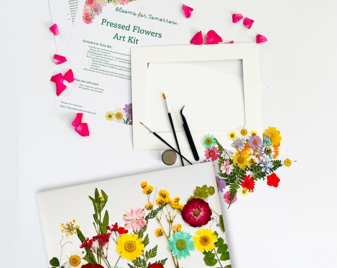 Pressed Flowers Art Kit: Wildflowers DIY Craft, Botanical Floral Wall Decor; Unique handmade Craft Gift for Her