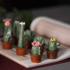 Puede incluir: Una colección de figuras de cactus de cerámica en pequeñas macetas marrones. Los cactus tienen varias formas y tamaños, con cuerpos verdes y pequeños acentos florales de colores rosa, blanco y amarillo. Las figuras se exhiben en un libro abierto.