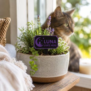 May include: A rectangular black plant marker with purple text that reads LUNA LIVES HERE, featuring a purple crescent moon and cat silhouette graphic. The marker is inserted into a speckled beige ceramic pot containing green herbs and lavender.
