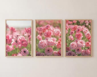 Conjunto de fotografias de flores de ranúnculo rosa, decoração botânica para casa (download digital)
