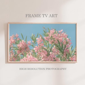 May include: A framed print featuring pink flowers against a blue sky. The artwork includes the text "FRAME TV ART" and "HIGH RESOLUTION PHOTOGRAPHY". The flowers are in full bloom with green leaves.