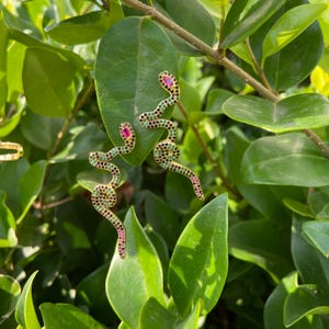 May include: A pair of gold-toned snake earrings. Each earring features a winding snake design, adorned with green, black, and pink gemstones. A large, round, pink gemstone accents the snake's head. The earrings are set against a backdrop of green leaves.