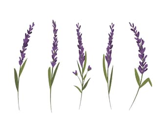 Lavender Flower Embroidery Design: Floral Machine Embroidery File, Lavender Stem Satin Stitch Embroidery Pattern | 6 Sizes-Instant Download
