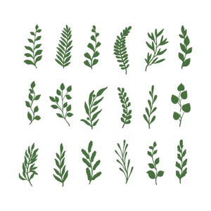 May include: A collection of 16 green leaf illustrations in various shapes and sizes. The leaves have a textured appearance and are arranged on a white background. The leaves are in a variety of styles, including fern-like, sprig-like, and rounded.