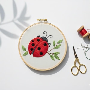 Può includere: Un ricamo a punto croce raffigurante una coccinella rossa con pois neri su un ramo verde, racchiuso in un telaio di legno. Accanto, forbici dorate, rocchetti di filo e aghi.