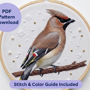 Op de afbeelding: Een borduurring met een stoffen paneel met een gedetailleerde, met draad geborduurde pestvogel op een bruine tak. Het ontwerp bevat witte bloemaccenten, kleine gouden kralen en witte parels. Tekst: PDF Pattern Download en Stitch & Color Guide Included.