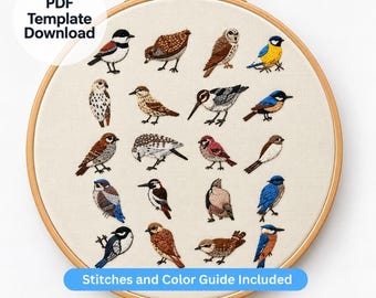 Può includere: Un telaio da ricamo rotondo in legno contenente tessuto color bianco sporco con diciassette uccelli ricamati di vari colori e specie. Il testo sull'immagine recita: PDF Template Download e Stitches and Color Guide Included.